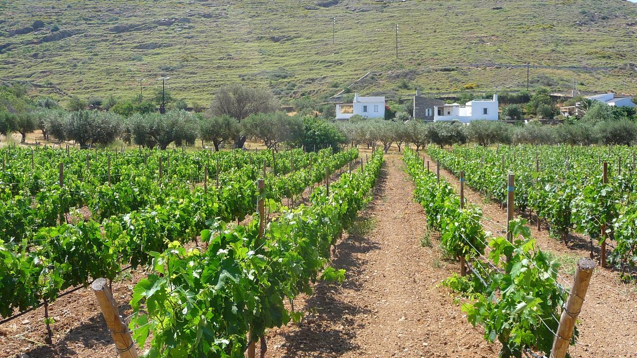 Red Tractor Farm Villa Korissia  Екстериор снимка